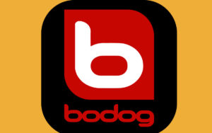 Bodog a good sports betting app