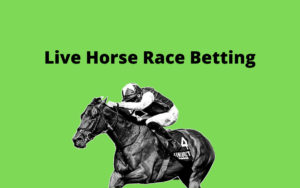 experience live horse betting without facing any trouble is to select your favorite online bookmaker